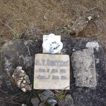 COETZEE A.F. 1911-1911