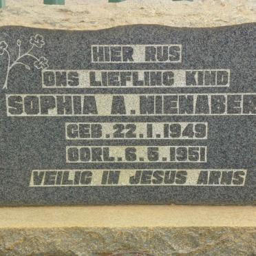 NIENABER Sophia A. 1949-1951