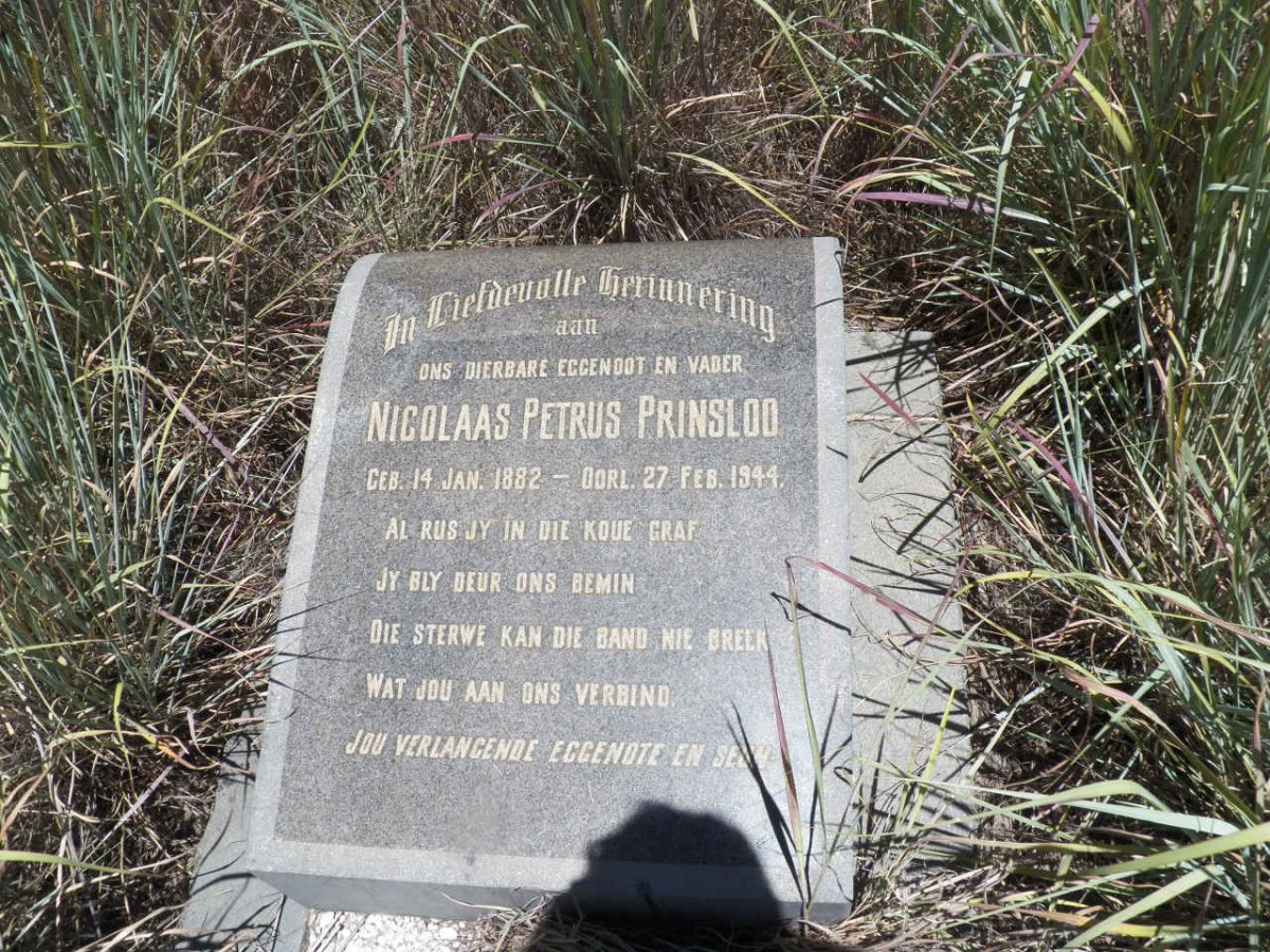 PRINSLOO Nicolaas Petrus 1882-1944