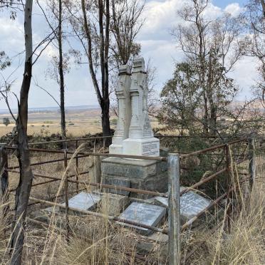 3. Overview of STOLTZ group