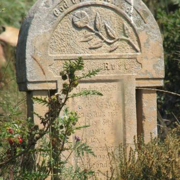 MEYER Hendrina Cecilia nee VAN WYK 1868-1916