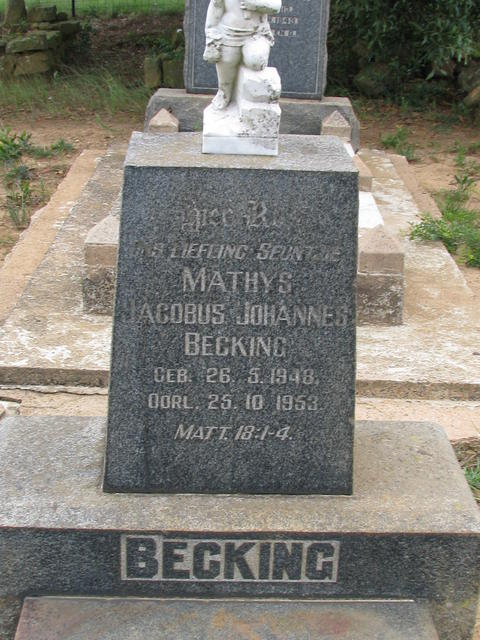BECKING Mathys Jacobus Johannes 1948-1953