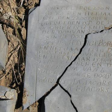 JACOBS infant son 1893-1893 :: JACOBS infant daughter 1894-1894