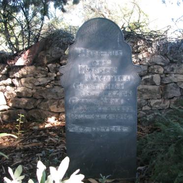 OLLEWAGEN Jacomina Gertruida nee HENN 1855-1916