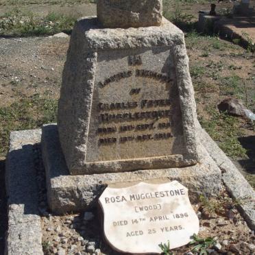 MUGGLESTONE Charles Peter 1891-1918 :: MUGGLESTONE Rosa nee WOOD -1896