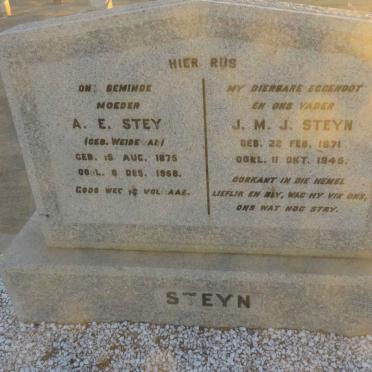 STEYN J.M.J. 1871-1945 &amp; A.E. WEIDEMAN 1875-1958