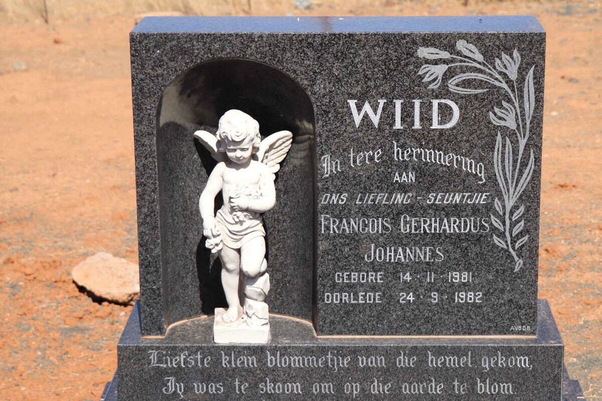 GERMISHUYS Bernardus Hermanus 1930-2008 &amp; Susara Susanna 1930-2017 :: WIID Roelof Erasmus 1954-2011