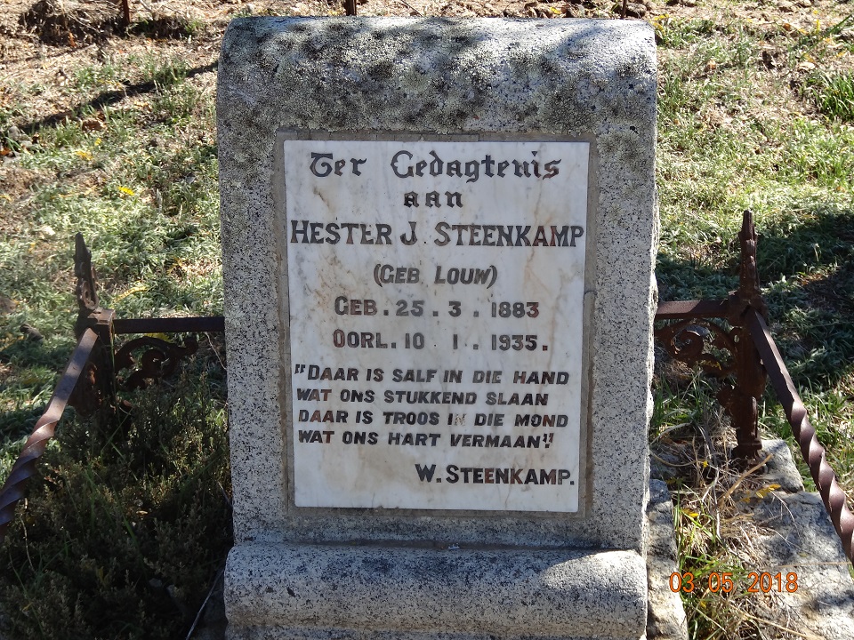STEENKAMP Hester J. nee LOUW 1883-1935