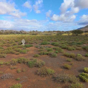 1. Oorsig / Overview