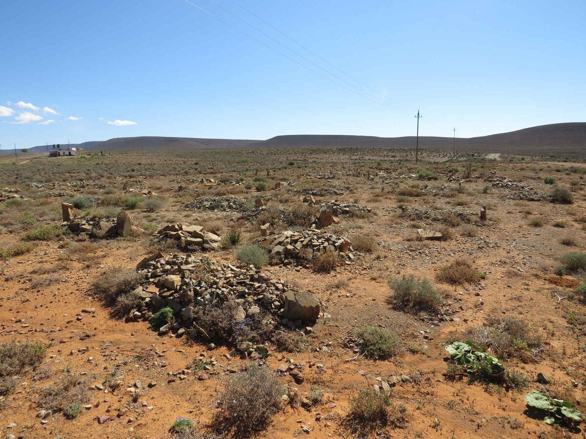 1. Oorsig / Overview