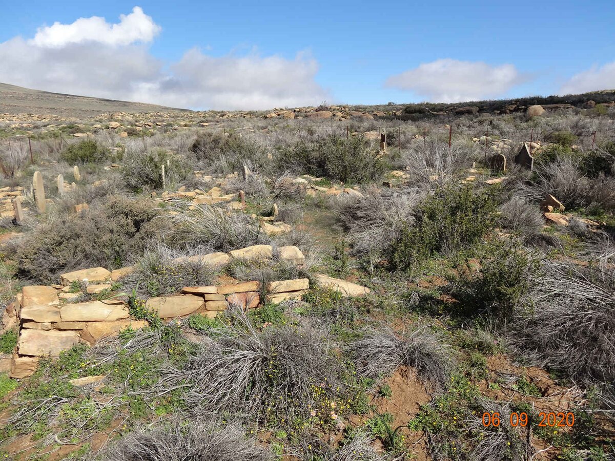 1. Oorsig / Overview