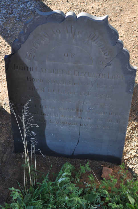 LOUW Judith Catherine Elizabeth 1875-1876