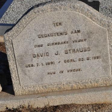 STRAUSS David J. 1881-1951