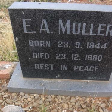 MULLER E.A. 1944-1980