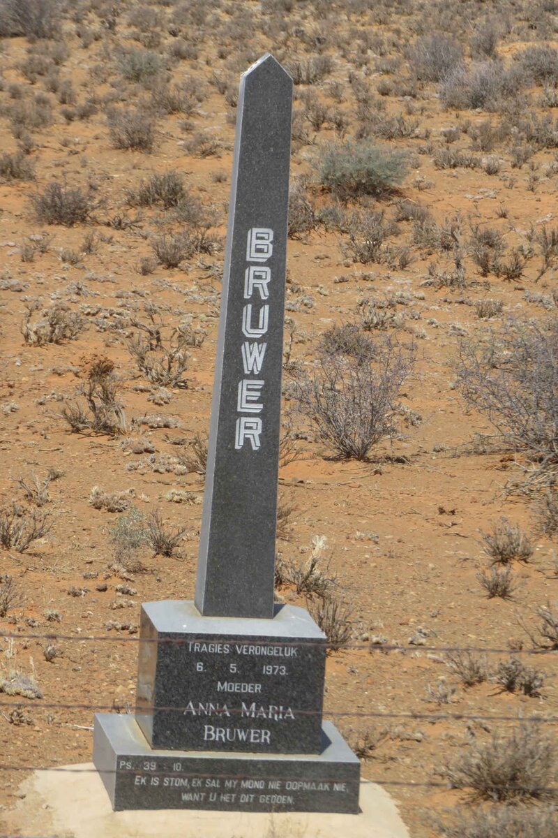 1. Overview / Oorsig