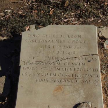 GROVE Carl Johannes 1898-1918