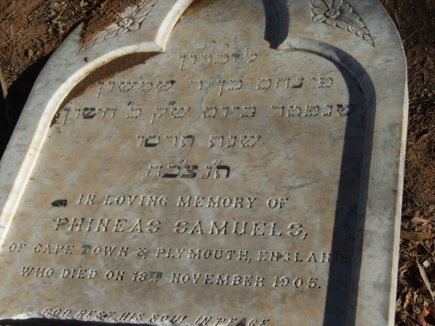 SAMUELS Phineas -1905