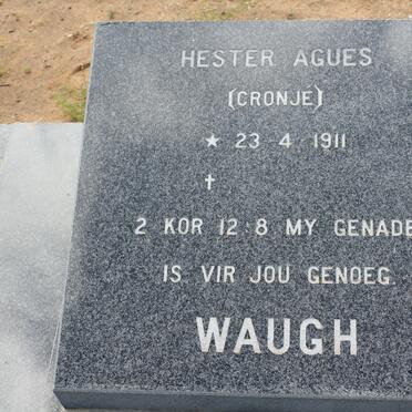WAUGH Hester Agues nee CRONJÉ 1911-