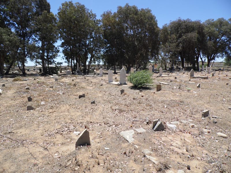 2. Overview / Oorsig