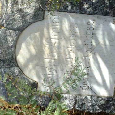 ?attau Gisela 1879-1982