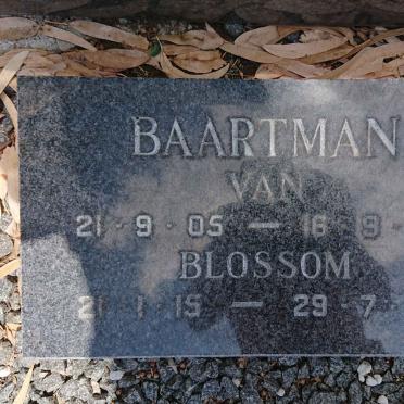 Northern Cape, COLESBERG district, Hanglip 150, farm cemetery