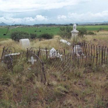 1. Overview in cemetery