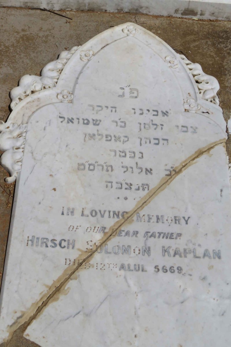 KAPLAN Hirsch Solomon -5669