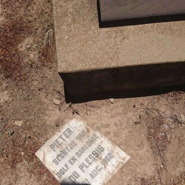 PLESSIS Pieter, du 1962-1962