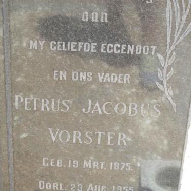 VORSTER Petrus Jacobus 1875-1955