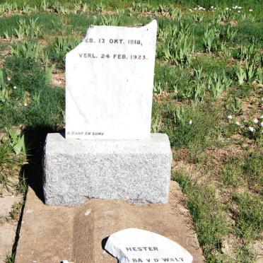 WALT Hester ?ba, v.d. 1918-1923