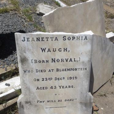 WAUGH William Frederick 1869-1933 &amp; Jeanetta Sophia NORVAL -1919