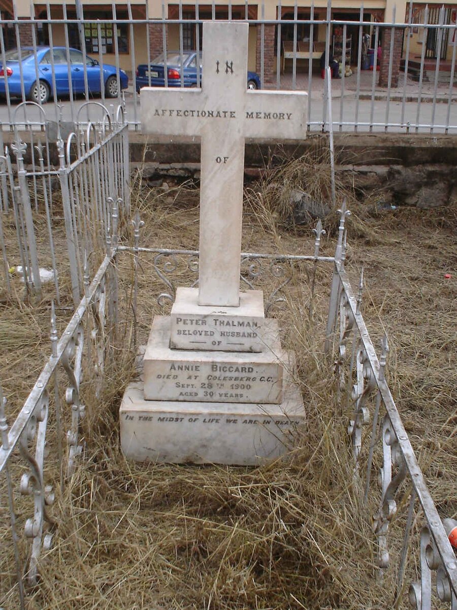 BICCARD Peter Thalman -1900