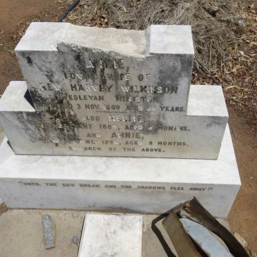 WILKINSON Annie -1889 :: WILKINSON Nellie -1889 :: WILKINSON Annie -1890