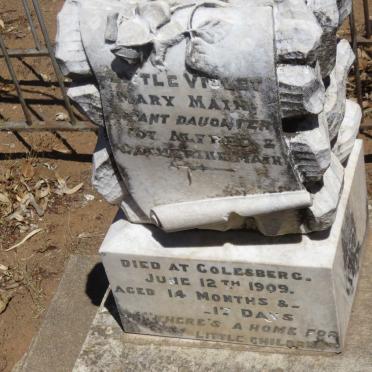 MAIN Violet Mary -1909