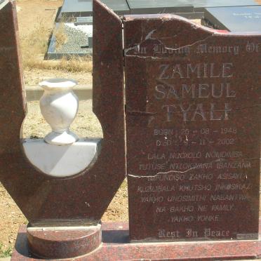 T - Surnames :: Vanne - T