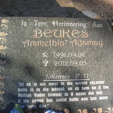 BEUKES Ammethia Adamay 1991-2012