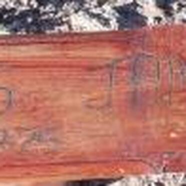 AFRIKA Frans James 1947-?