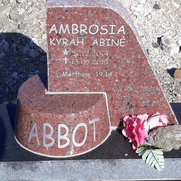 ABBOT Ambrosia 2014-2015