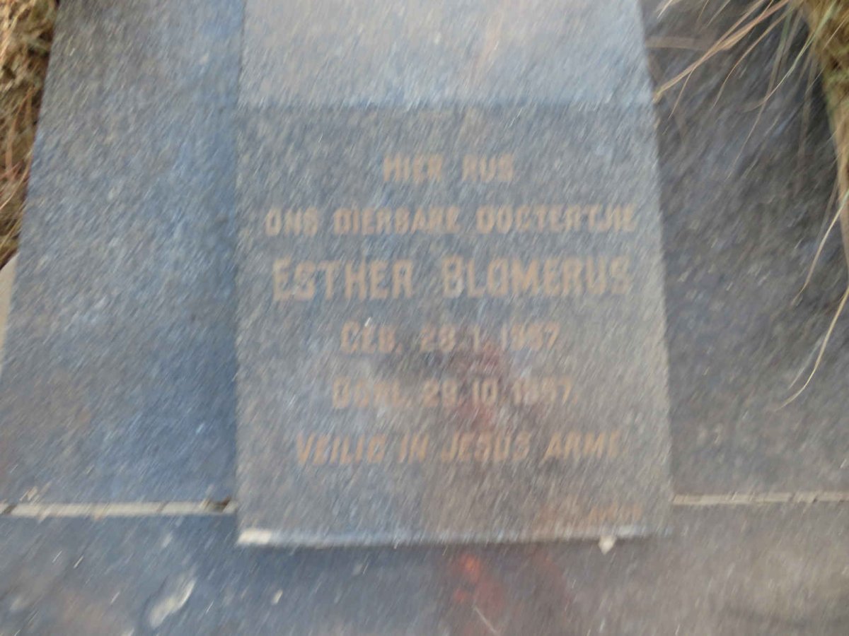 BLOMERUS Esther 1957-1957
