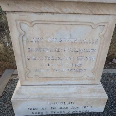 MILLER Ellen Elizabeth -1906 :: MILLER Douglas -1896 :: MILLER Hope Edith -1884 _1