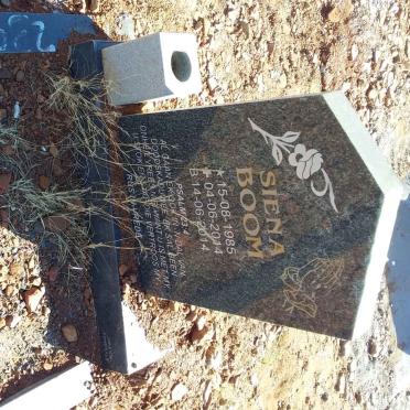 BOOM Siena 1985-2014