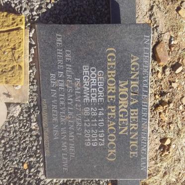 MORGEN Agnicia Bernice nee PEACOCK 1973-2019