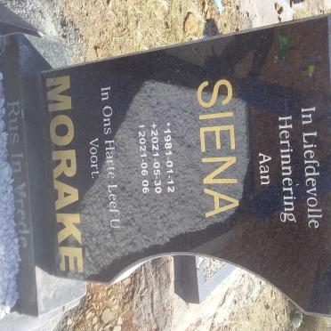 MORAKE Siena 1981-2021