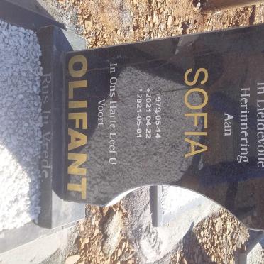 OLIFANT Sofia 1979-2021