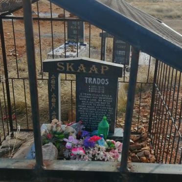 SKAAP Trados 1971-2015