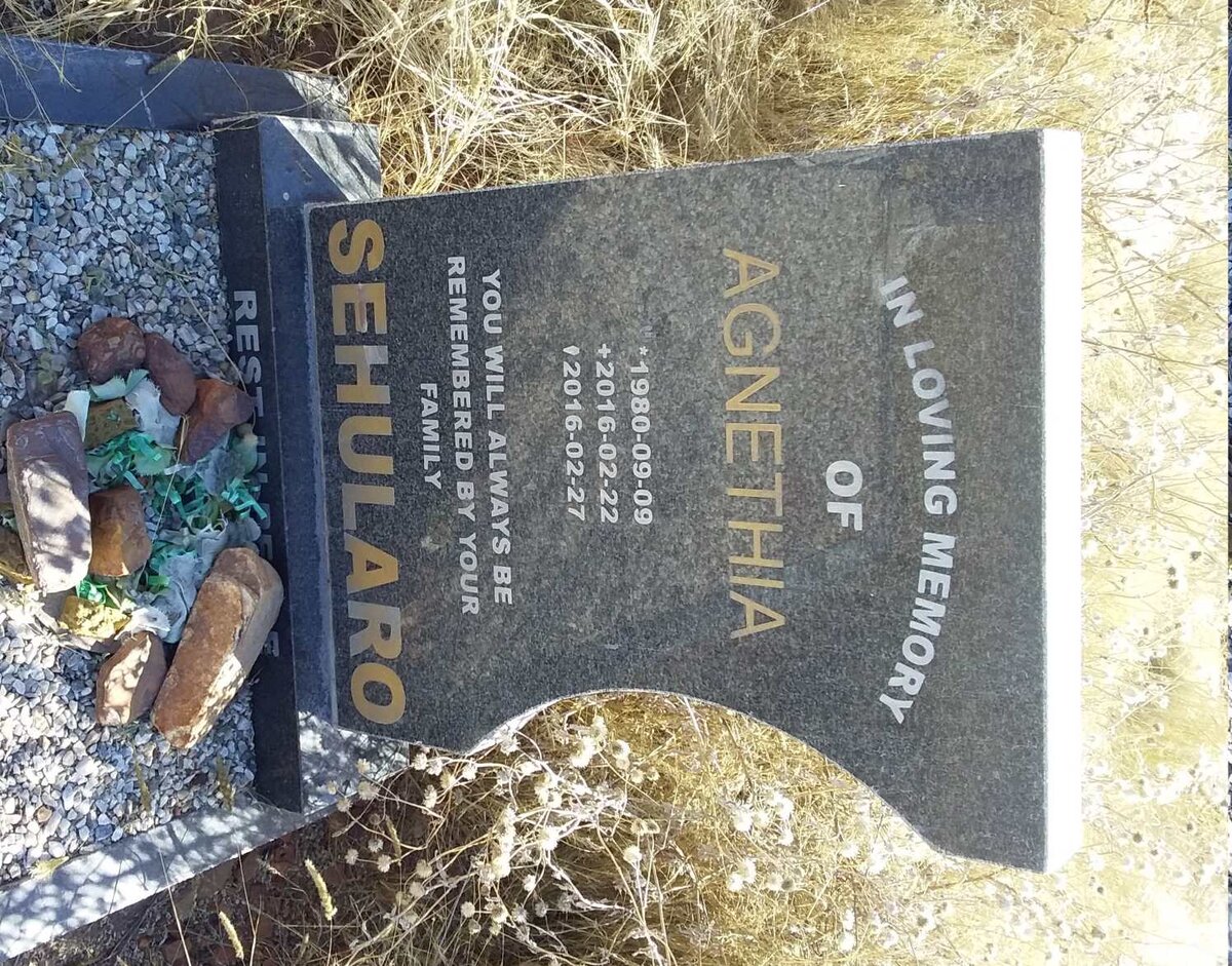 SEHULARO Agnethia 1980-2016