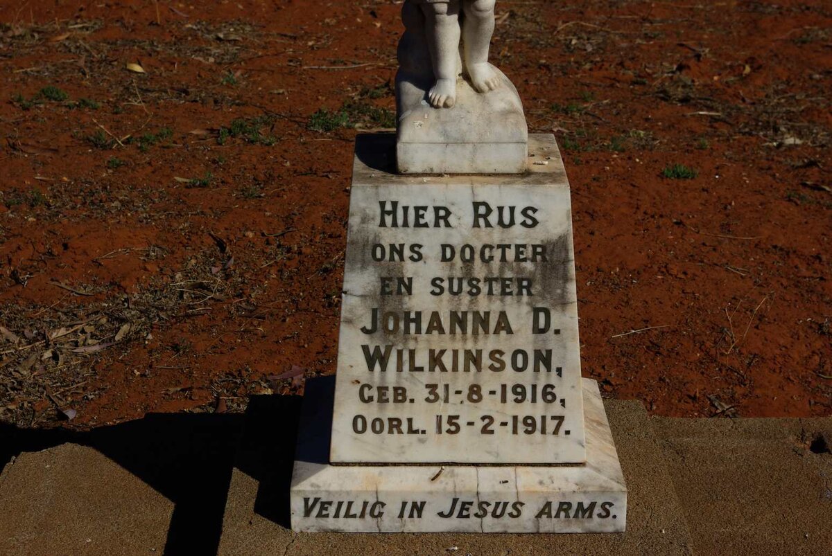 WILKINSON Johanna D. 1916-1917