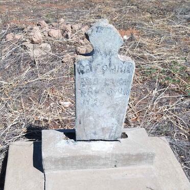 FOURIE P.J. 1928-1928