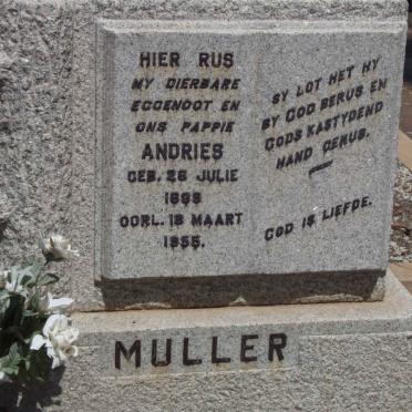 MULLER Andries 1889-1955