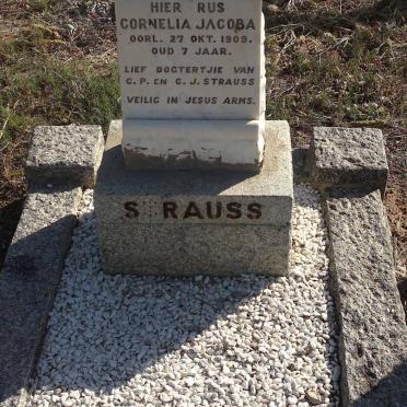 STRAUSS Cornelia Jacoba -1909